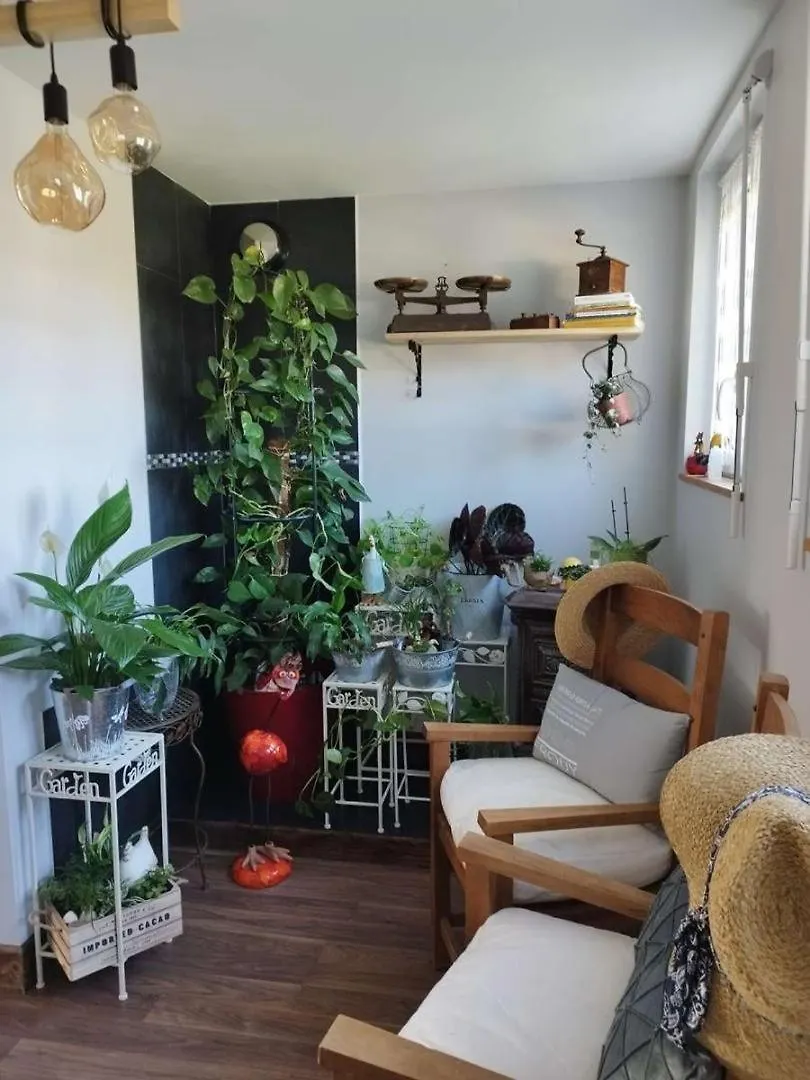 L'Araukaria Bed & Breakfast Tressignaux